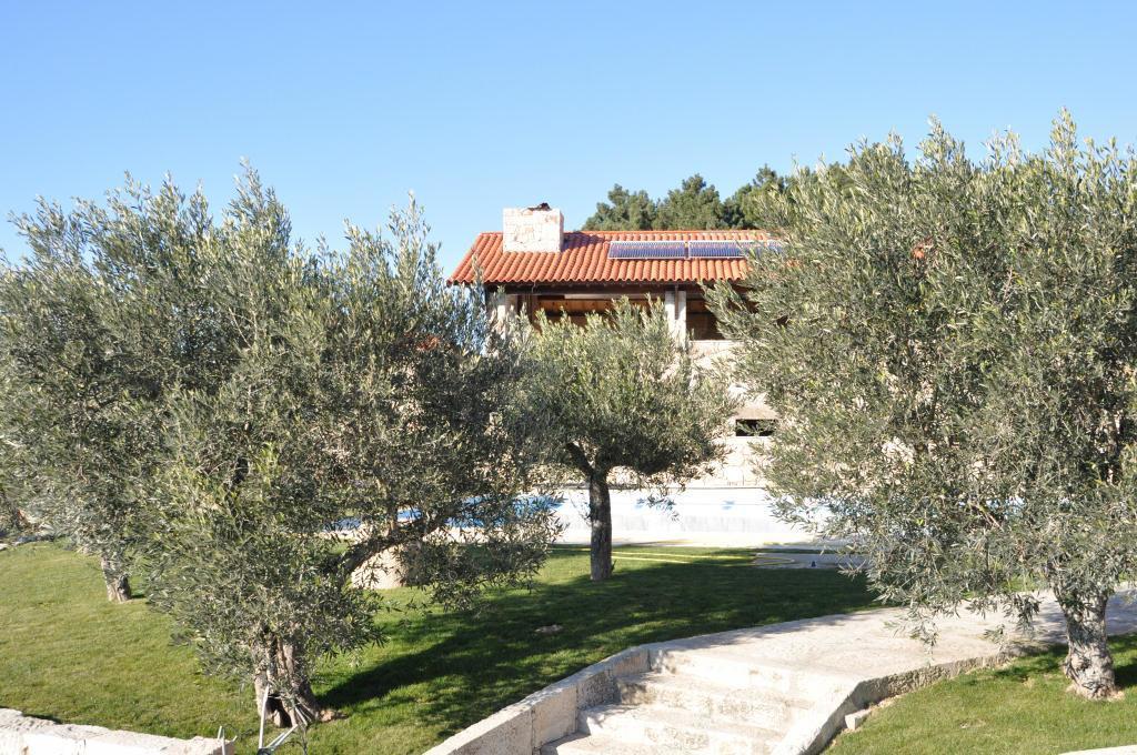 Гостевой дом Quinta Do Olival Vilas Boas  Экстерьер фото
